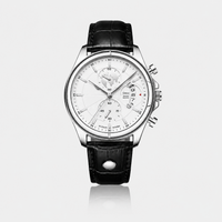 Maisor Meridian Ivory Steel